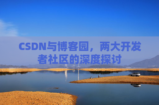 CSDN与博客园，两大开发者社区的深度探讨
